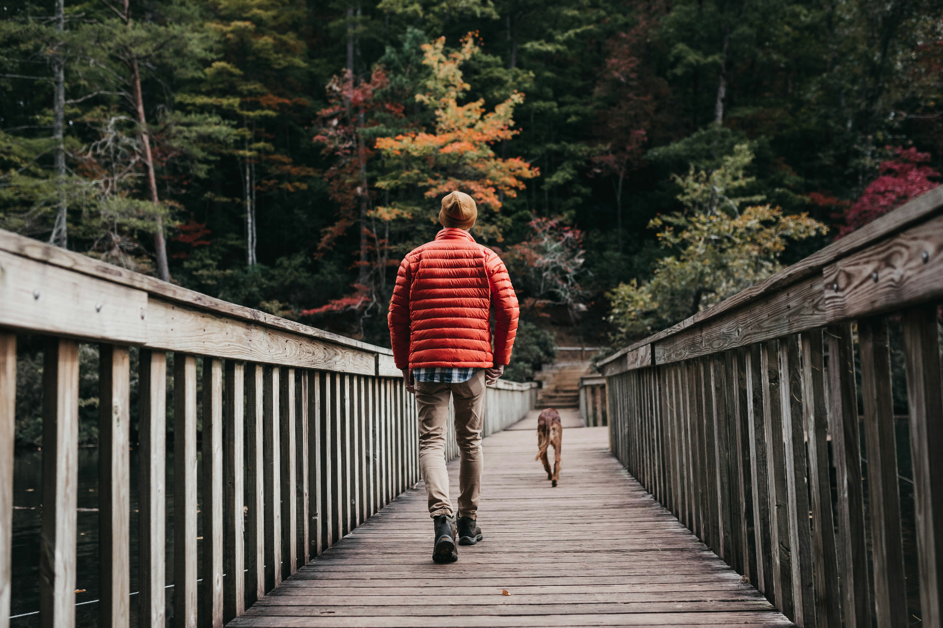 Man and dog walking. Image courtesy of Unsplash.com. https://unsplash.com/photos/man-walking-on-bridge-beside-dog-during-daytime-pjiwya5elWs