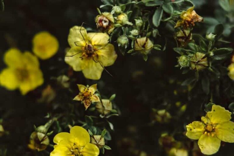 Daily Aries Horoscope with Total Apex Media | January 22, 2025