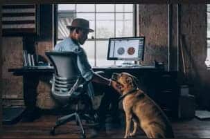 Great Health Insurance Plans for Pets in 2024: The Pros and Cons