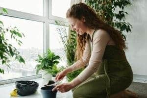 Gardening While Pregnant: 3 Important Things To Know