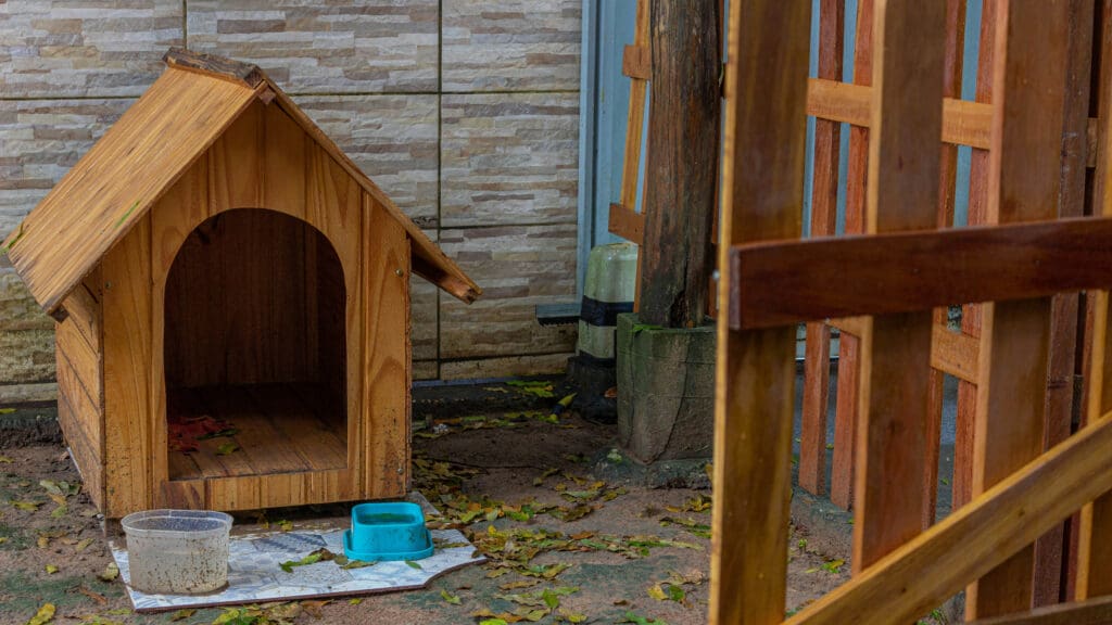 A wooden doghouse. Image courtesy of Unsplash.com. https://unsplash.com/photos/a-wooden-dog-house-with-a-bucket-of-water-next-to-it-CgmmRw1VM7c