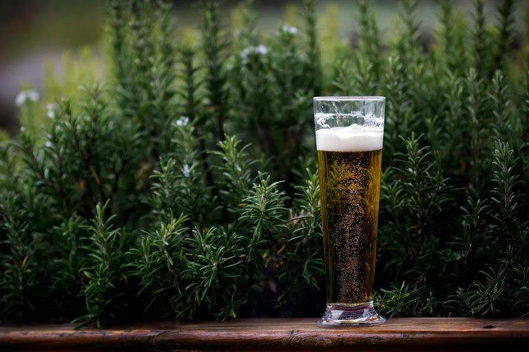 Build your own backyard beer garden
