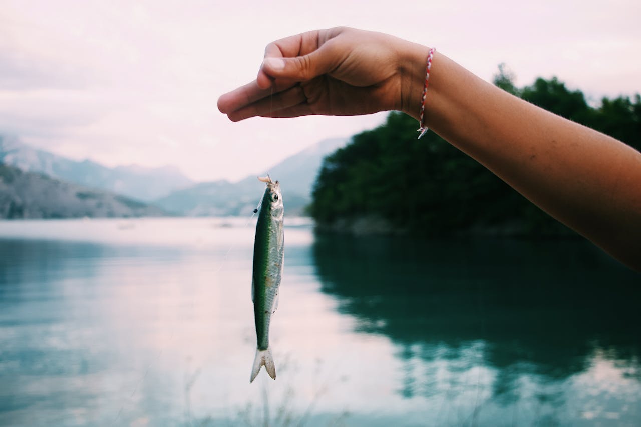 Fishing Trip: Photo by Maël BALLAND on pexels.com https://www.pexels.com/photo/fisher-showing-small-fish-caught-in-lake-2728035/