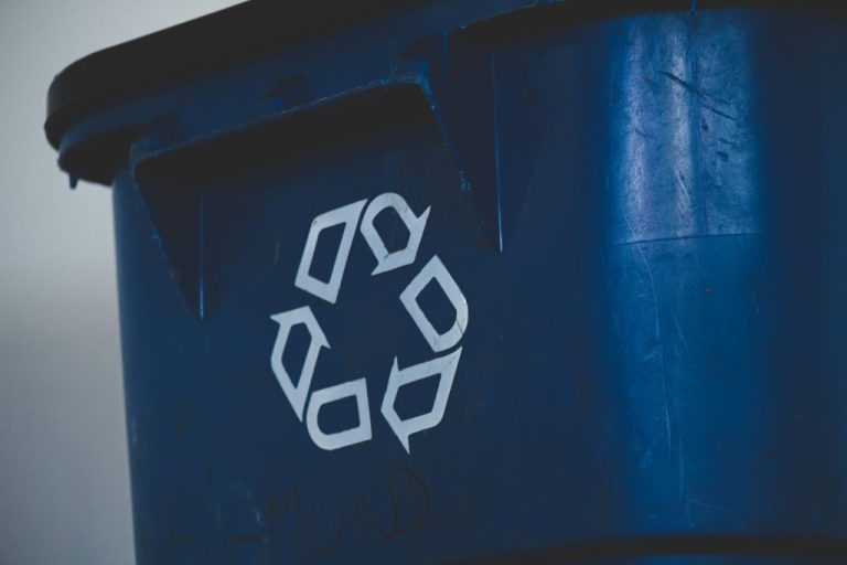 A recycling bin. This is the featured image for the article on crafts to make out of recycled things. Photo by rivage on Unsplash. https://unsplash.com/photos/text-aI4RJ--Mw4I
