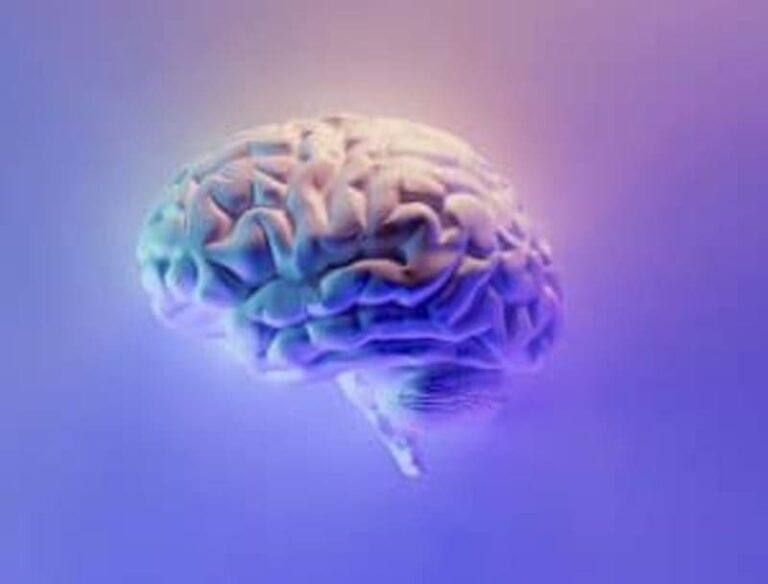 Awesome Superfoods That Boost Brain Health