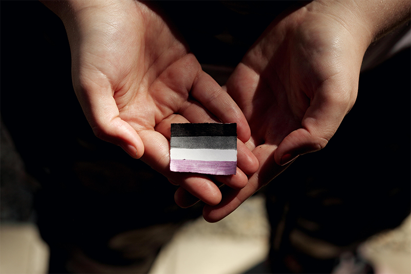 Hands holding a small asexual pride flag.