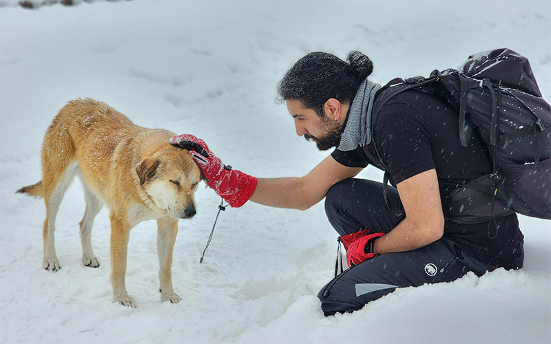 Man petting a dog in the snow.