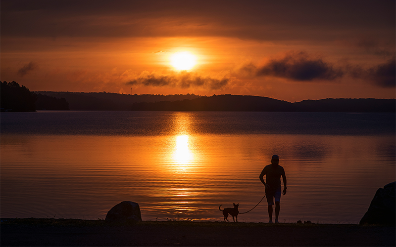 Man and dog walking at sunrise on a Michigan beach.