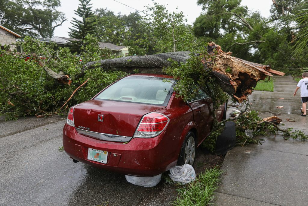 flood: tree fall on car