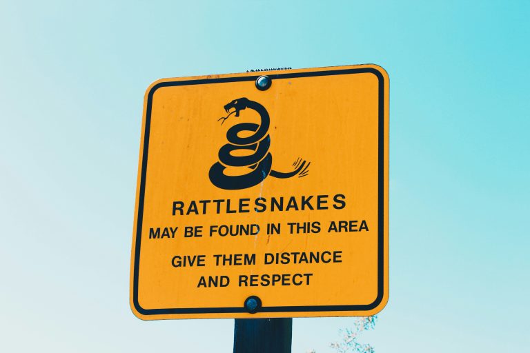 Rattlesnakes May be found in this area
