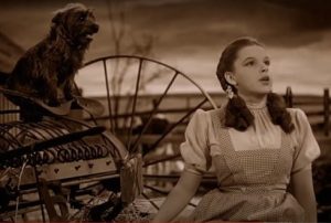 Re-releases, the Wizard of Oz