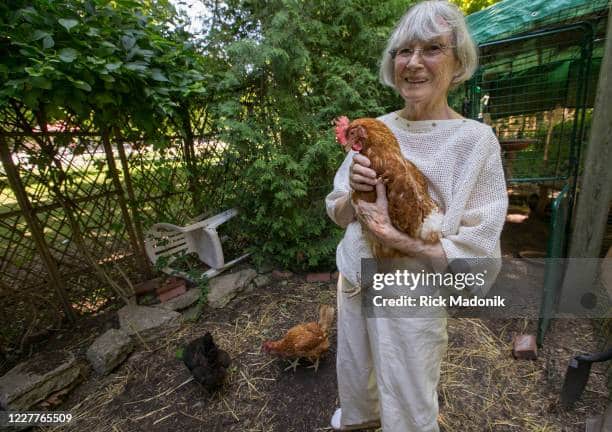 DIY Outdoor Oasis: Backyard Retreat on a Budget