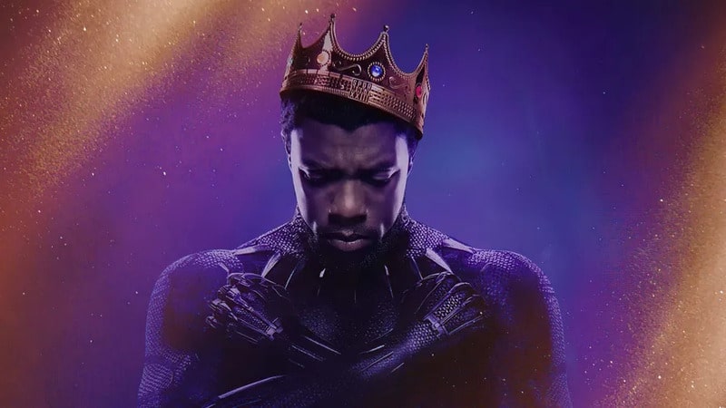 Chadwick Boseman Black Panther Death