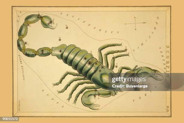 Detailed Scorpio Horoscope | August 26, 2024