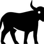 Taurus, today's daily horoscope