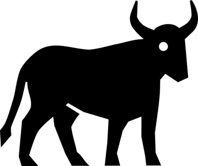 Taurus, today's daily horoscope