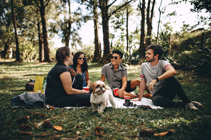 Friends on a picnic blanket