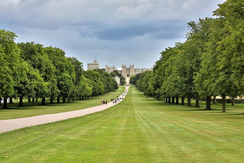 Prince William, king charles, prince harry