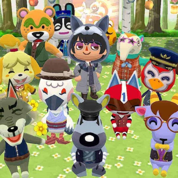 Animal Crossing Pocket Camp Nov. 25th