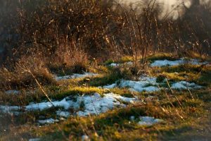 Old Farmer's Almanac Prediction