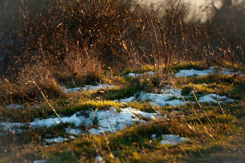 Old Farmer's Almanac Prediction