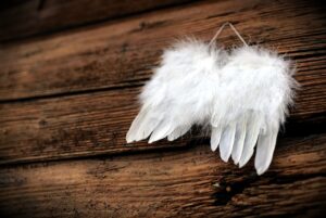 feathers, wing, angel wings, wood, old wood, christmas motif, angel, christmas, angel wings, angel wings, angel wings, angel, angel, angel, angel, angel