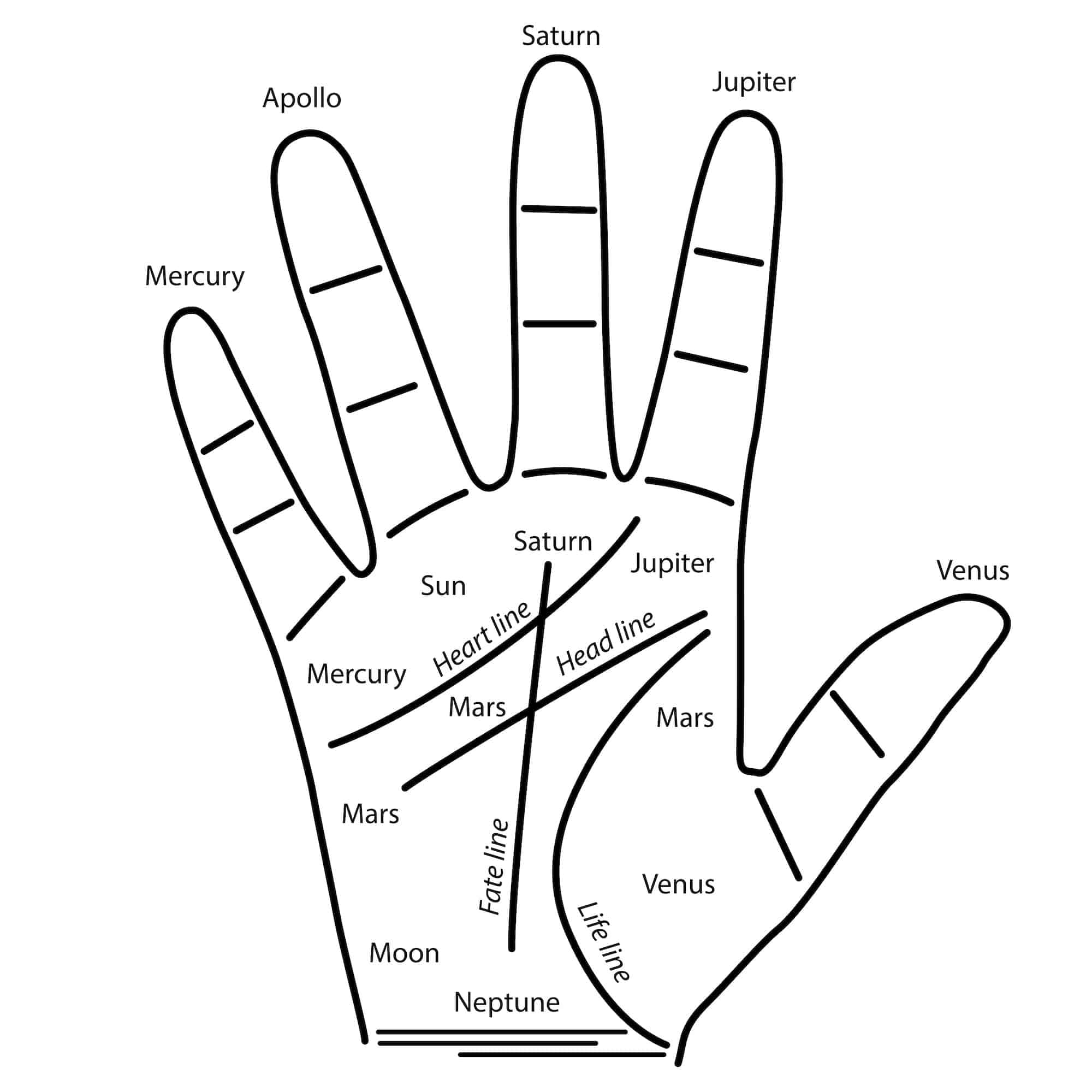 Palmistry