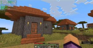 Minecraft builds