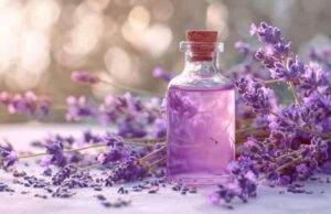 Lavender Essential Oil