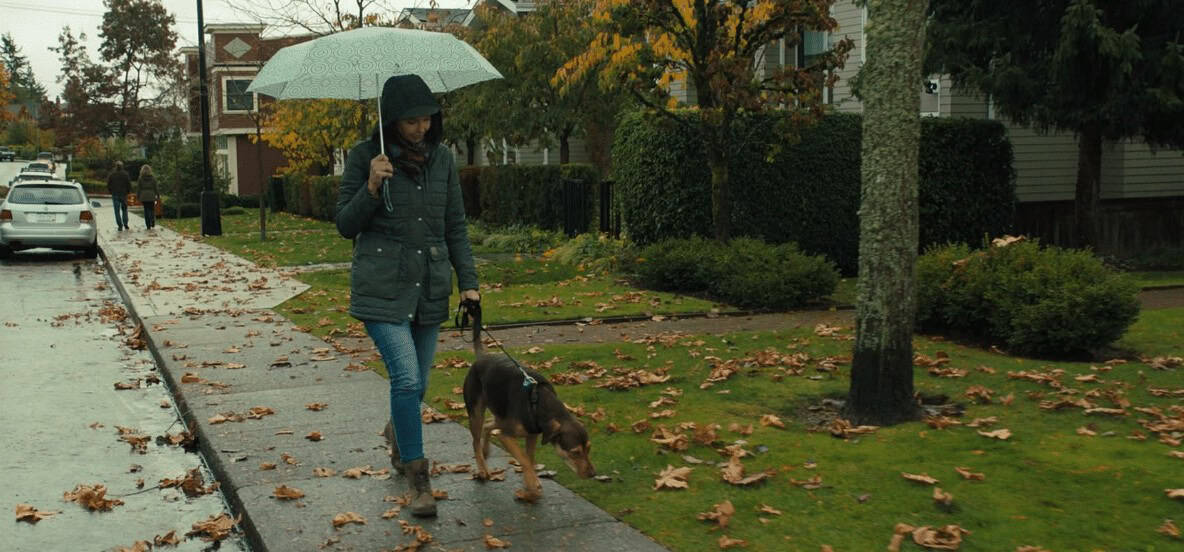 Top 10 Movies: A Dog's Way Home (Courtesy of Netflix) 