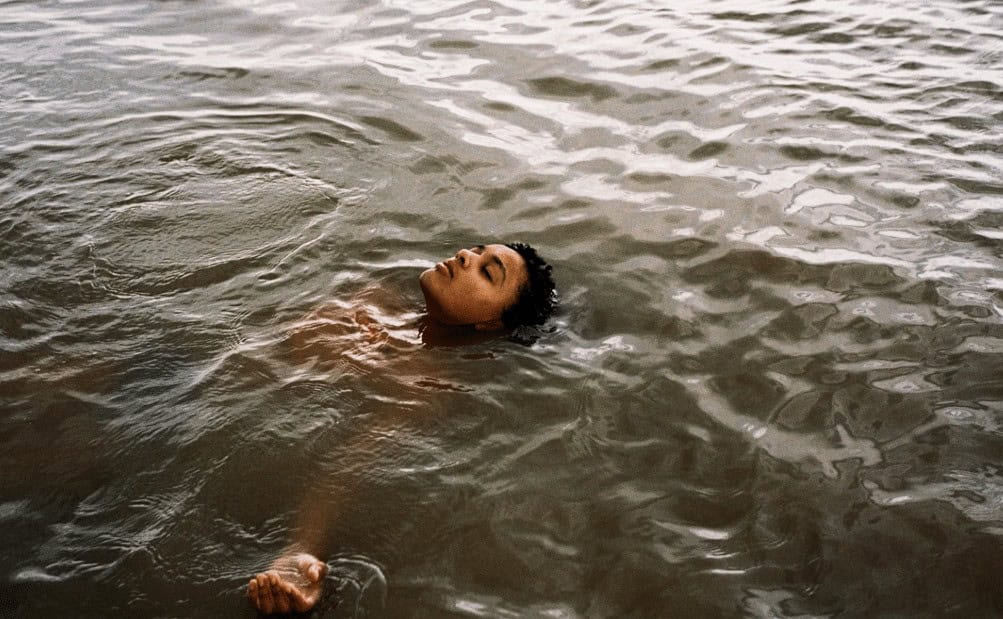 Top 10 Movies: Bird | Courtesy of Apple TV