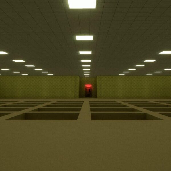 backrooms level X