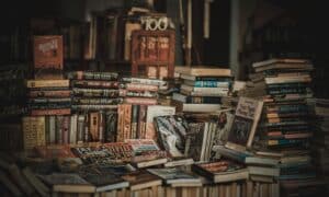 A cozy indoor bookstore with stacked bookshelves filled with novels and literature. 10 Best Literary Festivals