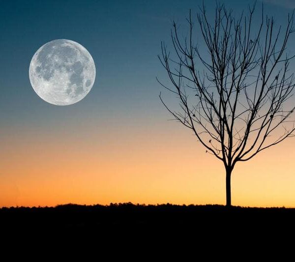 Full Moon in Sagittarius