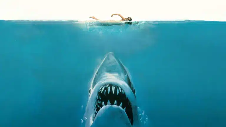 Jaws 50th Anniversary