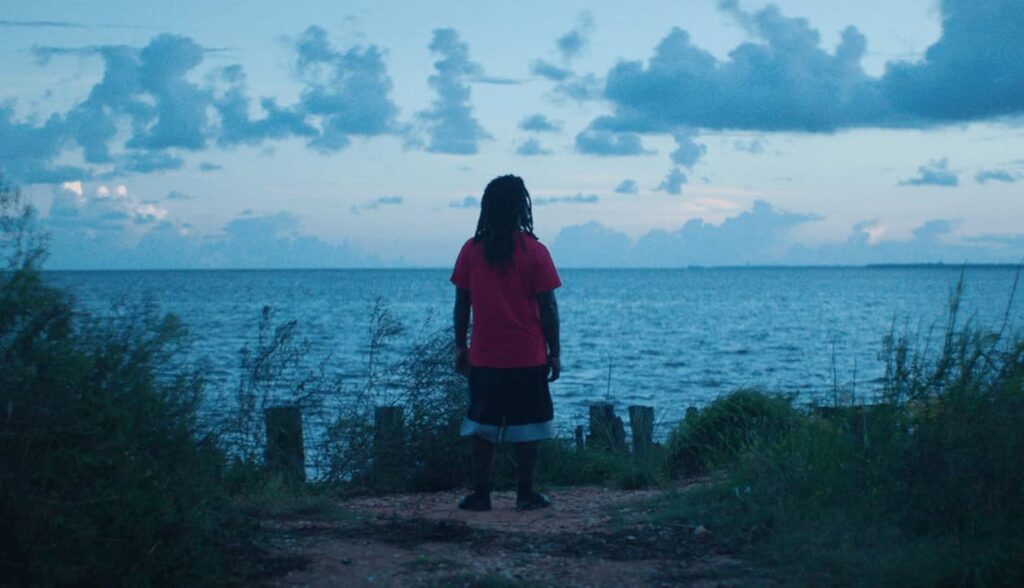 Top 10 Movies: Descendant | Courtesy of Netflix