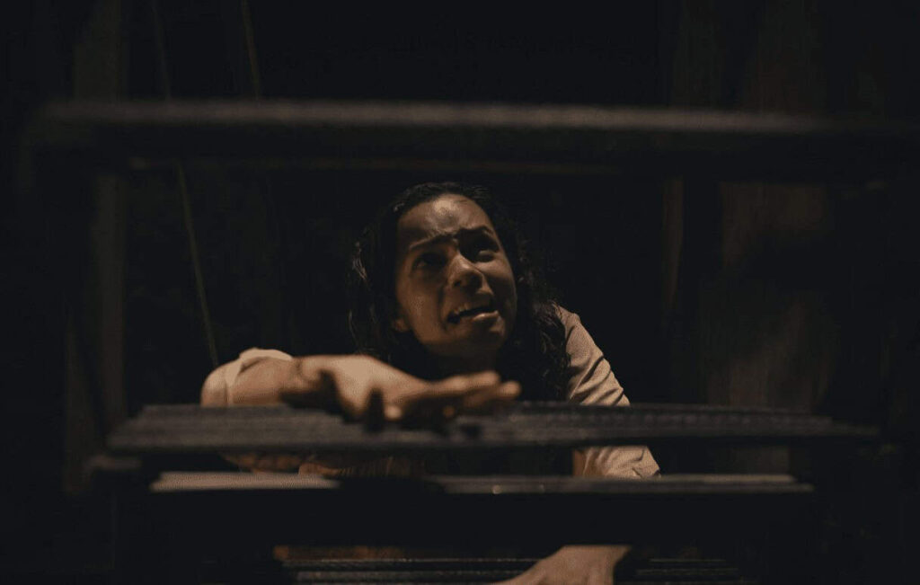 Top 10 Movies: Barbarian | Courtesy of Prime Video