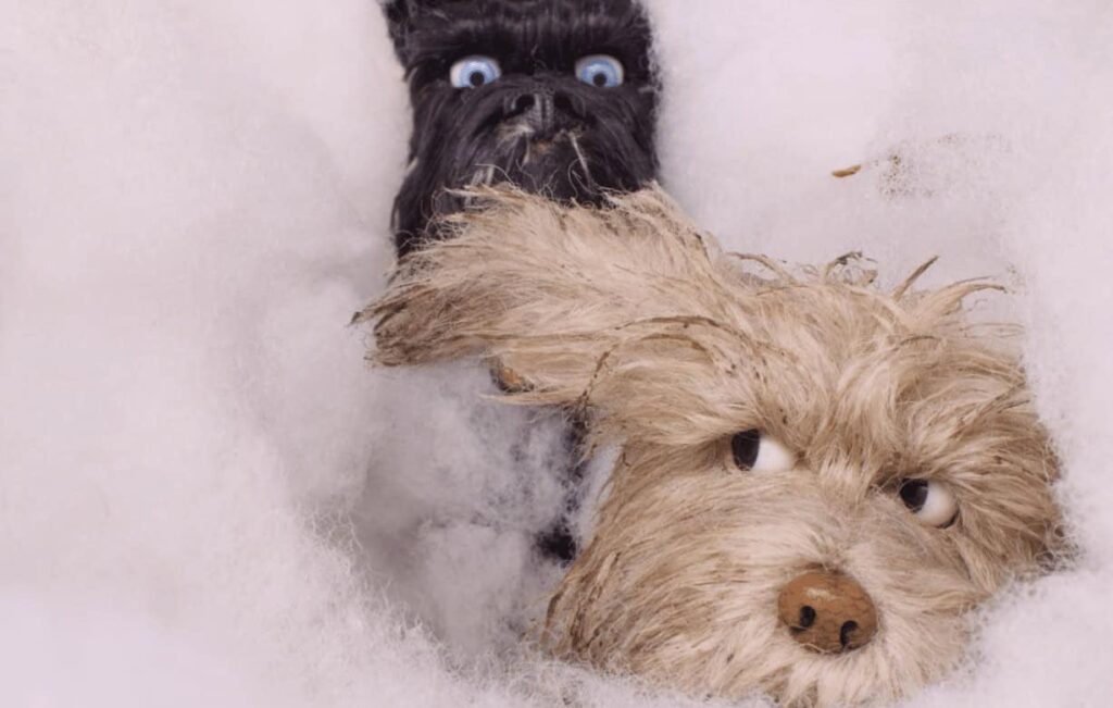 Top 10 Movies: Isle of Dogs | Courtesy of Disney Plus