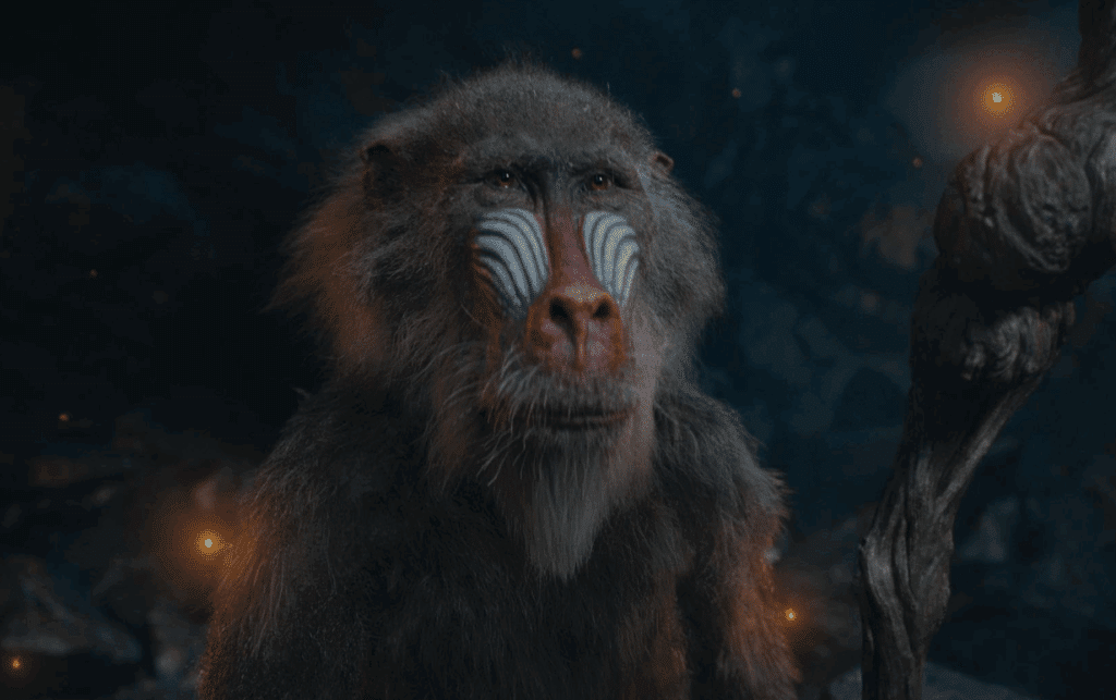 Top 10 Movies: Mufasa: The Lion King | Courtesy of Disney Plus