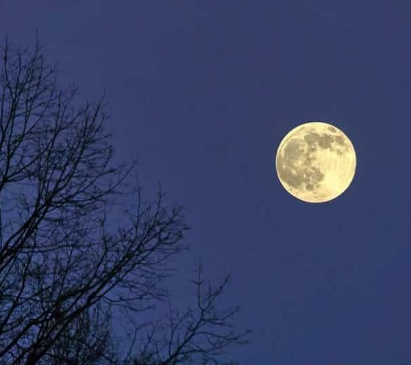 Strawberry full moon