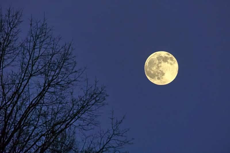 Strawberry full moon