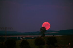 Strawberry Full Moon, Taurus 