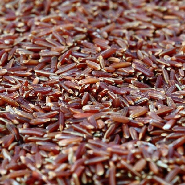 red rice, rice, healthy, diet, meal, food, red rice, red rice, red rice, red rice, red yeast rice