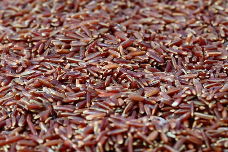 red rice, rice, healthy, diet, meal, food, red rice, red rice, red rice, red rice, red yeast rice