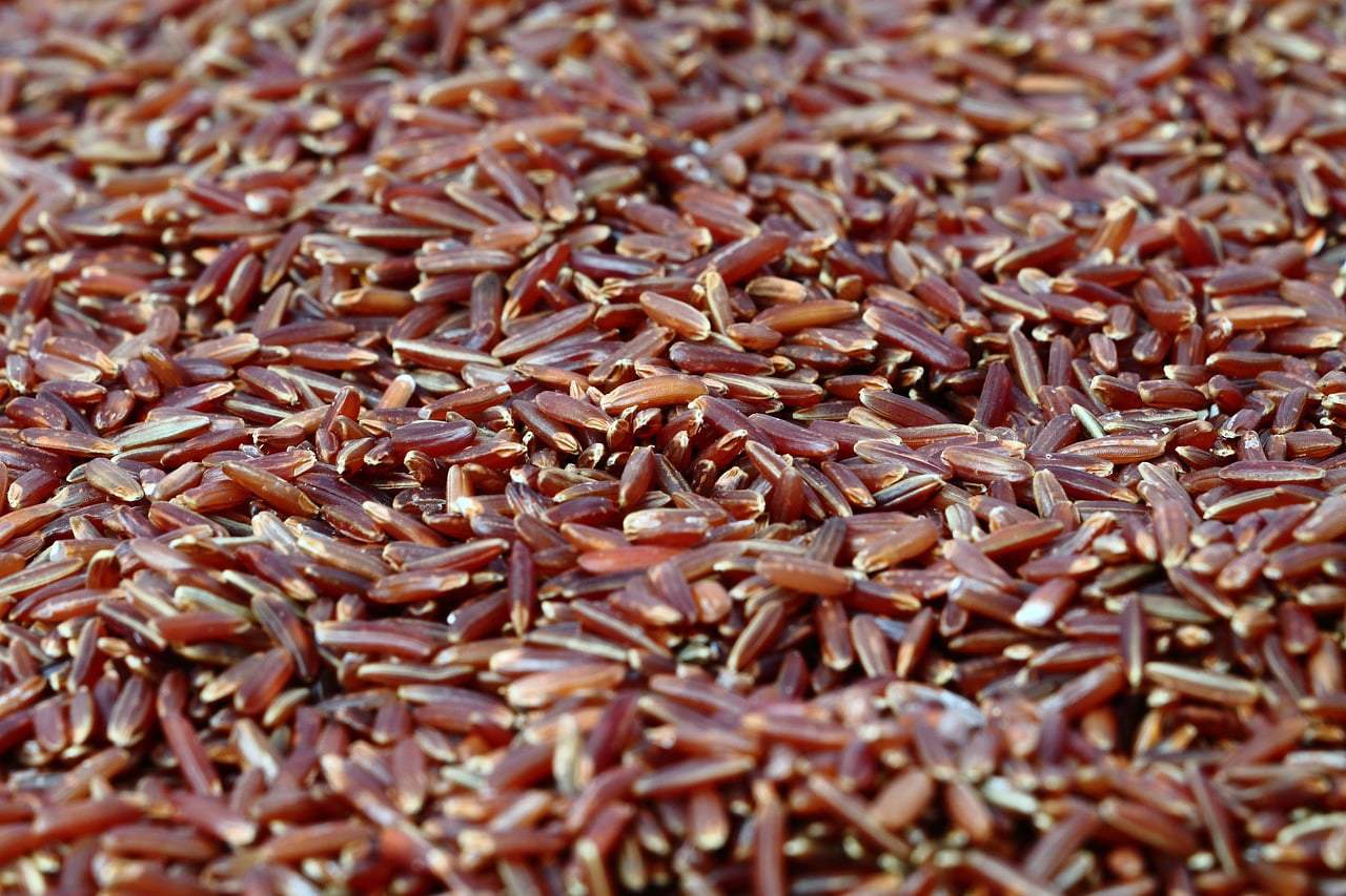red rice, rice, healthy, diet, meal, food, red rice, red rice, red rice, red rice, red yeast rice