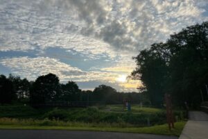 monday blessings: Dubois Dog Park
