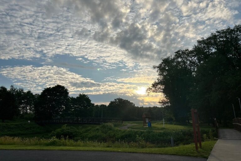 monday blessings: Dubois Dog Park