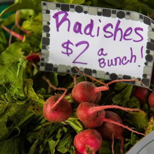 farmers' market