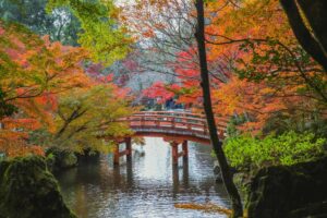 Beautiful autumn scene with a traditional bridge and vibrant foliage in Kyoto's serene garden. Travel for your soul