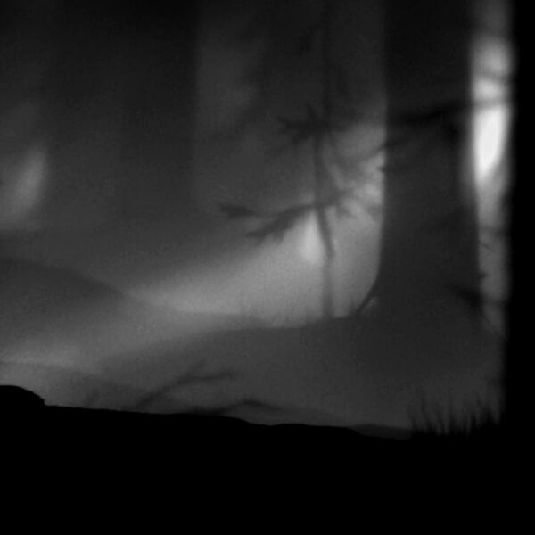 Screenshot from Limbo, a game by developer Playdead